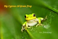  Nature ’s Lil & Huge Guys