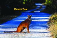 Encore Pose 988 (written 01/24/13)