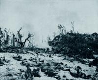  The Battle of Peleliu
