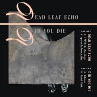 Dead Leaf Echo at Philly's Ortleib's Lounge